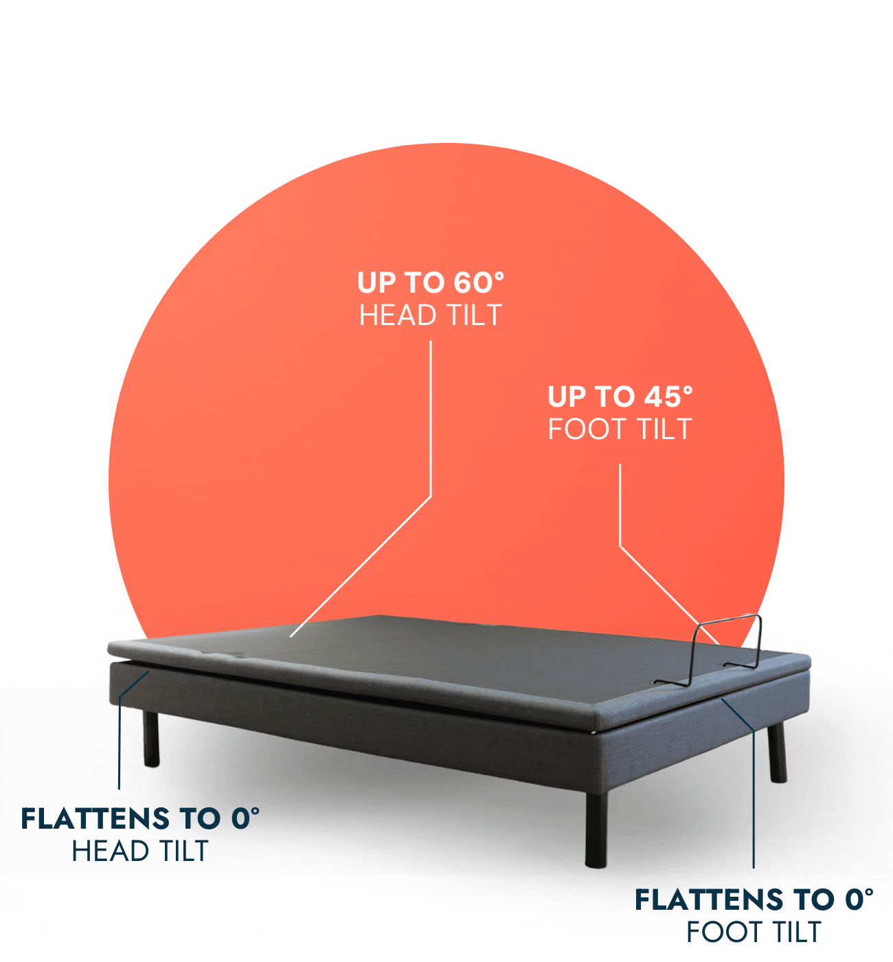 Los Angeles Ascend bed showing all adjustability positions — hi-low, tilt, head and foot articulation