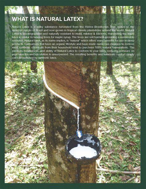 Los Angeles What is natural latex?